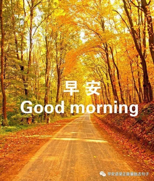 微信早安唯美精辟句子