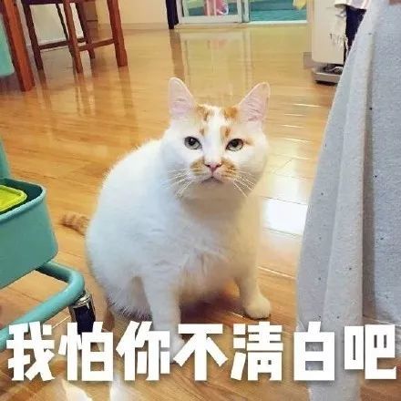 2018最新表情包大赏:小猪佩奇,假笑boy,边缘试探…你最爱?