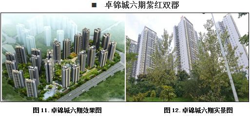 成都市三圣乡片区商业房地产市场调查报告