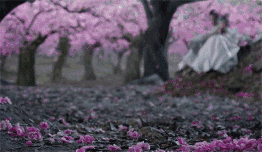 灼灼桃花酿今生愈渐滚烫