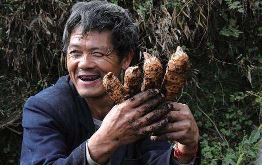 这种珍惜的药材,手脚麻木要吃,不明头疼更要吃