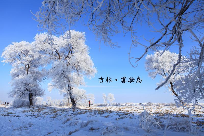 冬季来吉林市雾凇岛赏雾凇看冰灯 置身其中犹