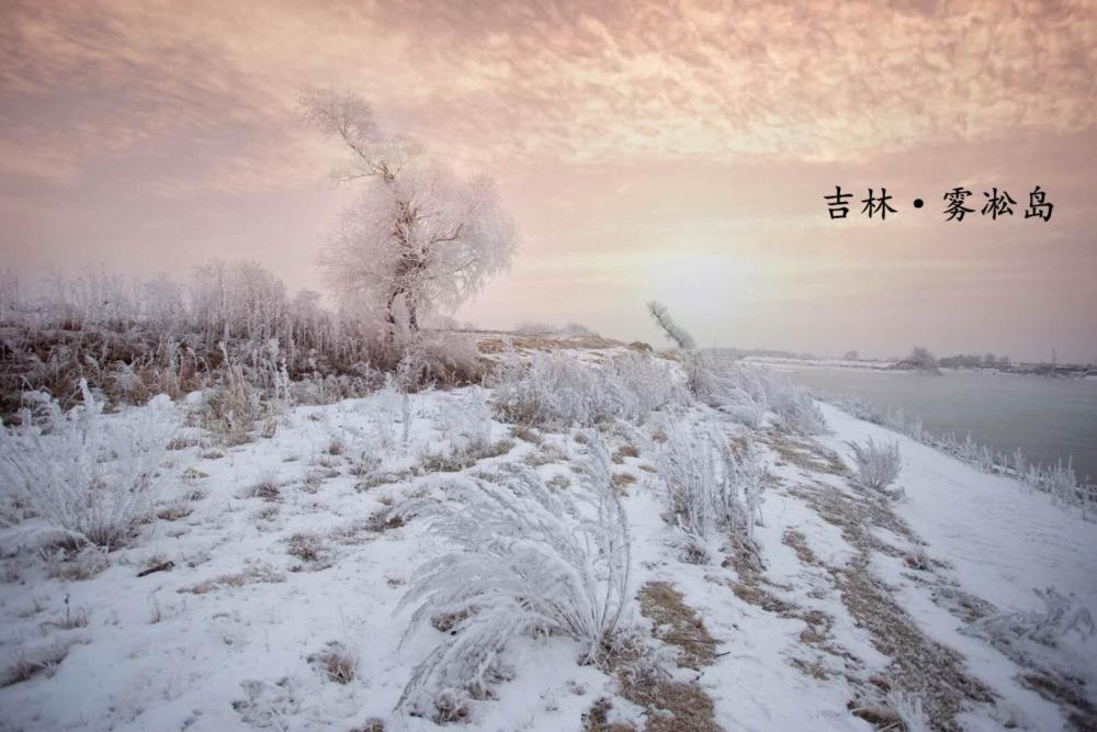 冬季来吉林市雾凇岛赏雾凇看冰灯 置身其中犹