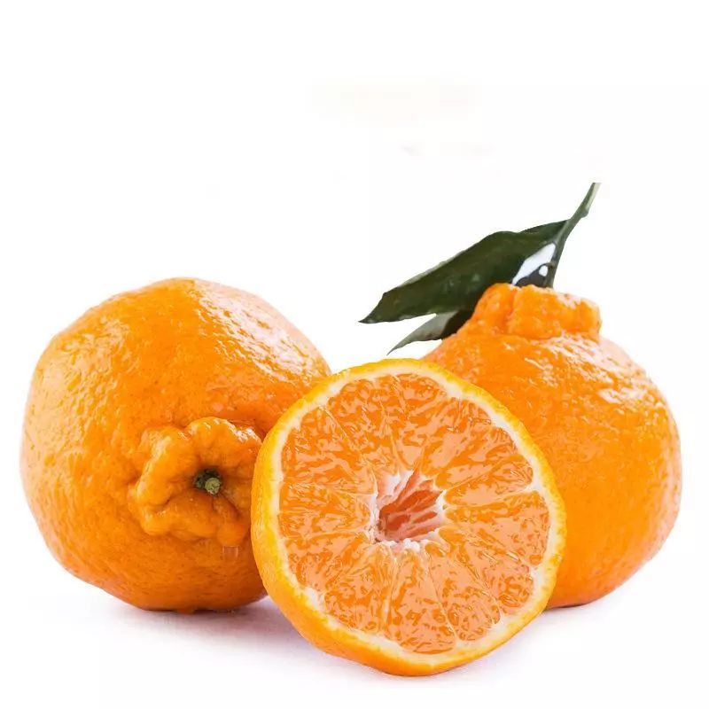 青神种植椪柑种类竟有这么多种?谁敢说全认识