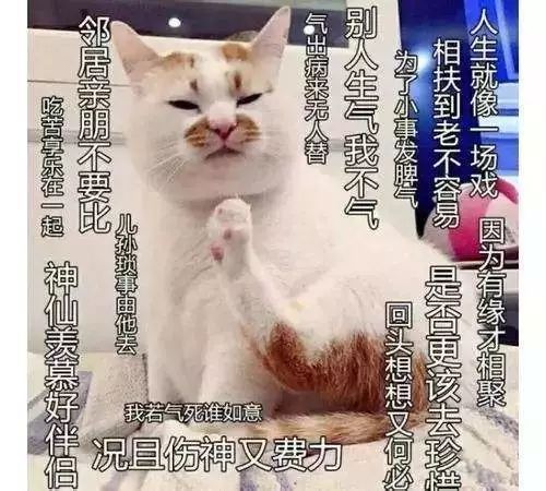 禅师遇到佛系青年:这位施主你好有佛缘