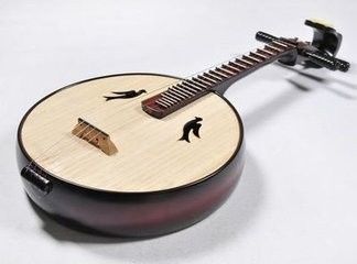 献给想要自学中阮的朋友