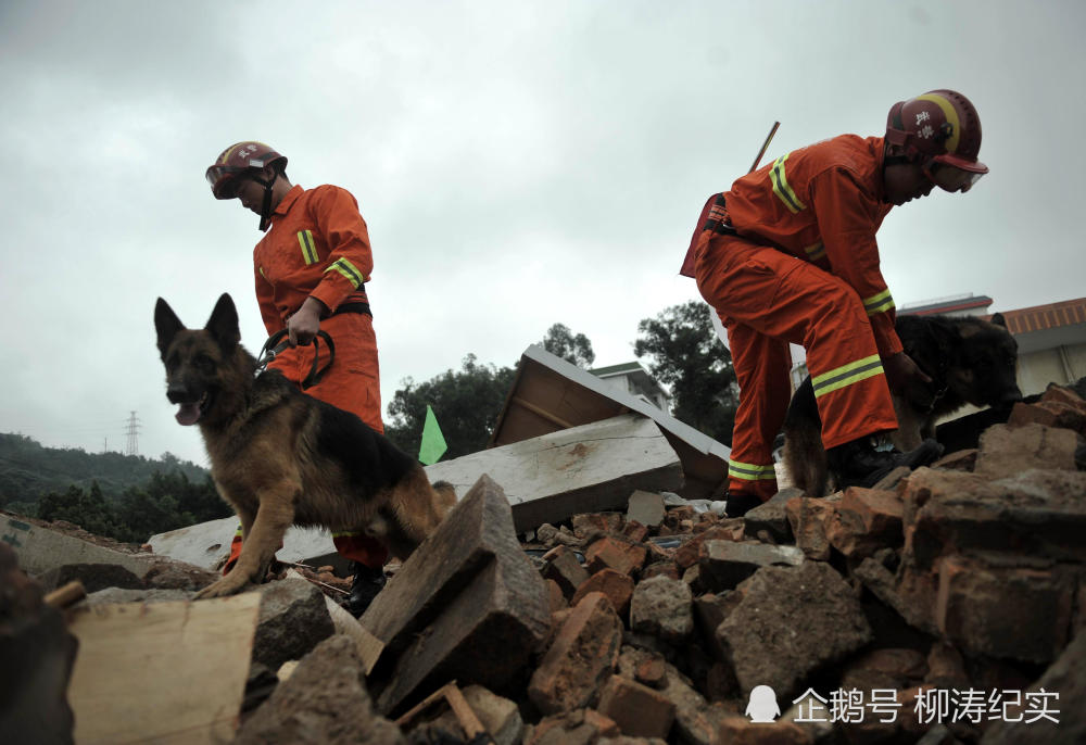 汶川地震"重现",见证中国力量