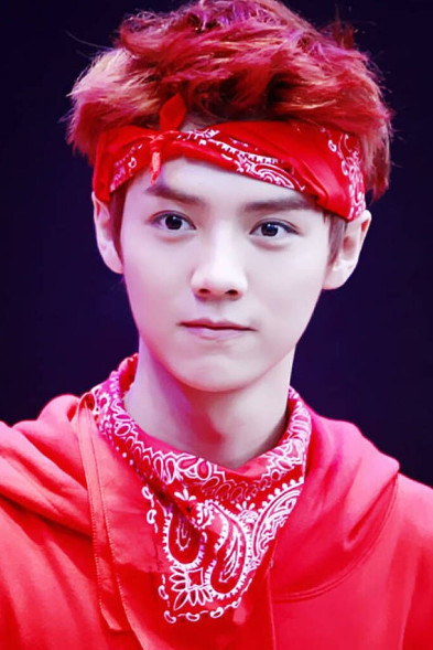 谁的粉丝团名字最好听:赵丽颖粉丝名最好听,杨