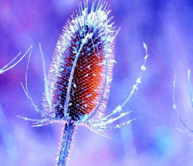 男人听后容易死心的句子,尤其是第2句!你说过