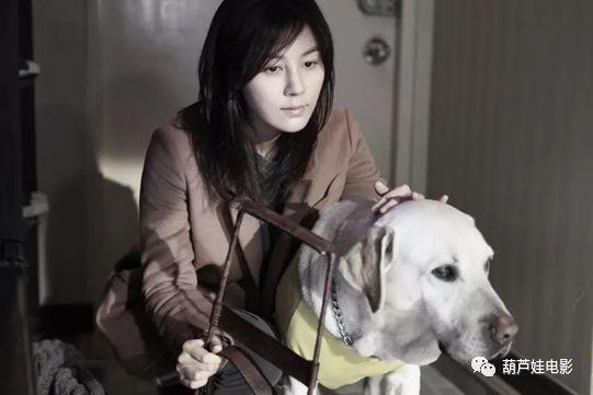 与金荷娜的韩国原版盲证相比,杨幂鹿晗的翻拍