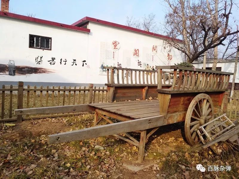 邹城--美丽乡村齐鲁行 寻找冬日那一抹亮色