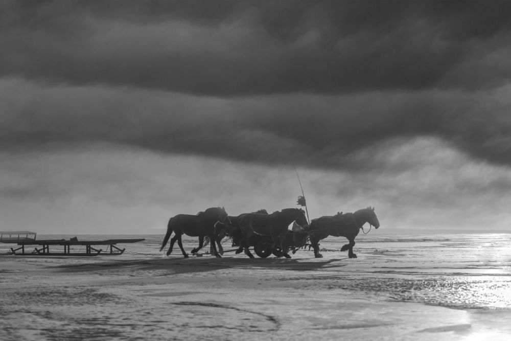 心怀感恩,与爱同行