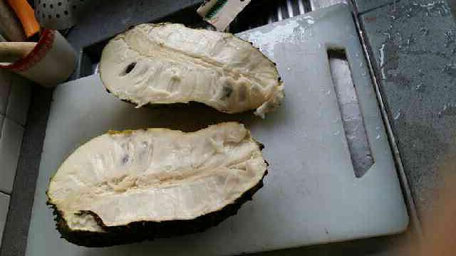 长在树上像榴莲,口感香甜似酸奶,市面卖18一斤