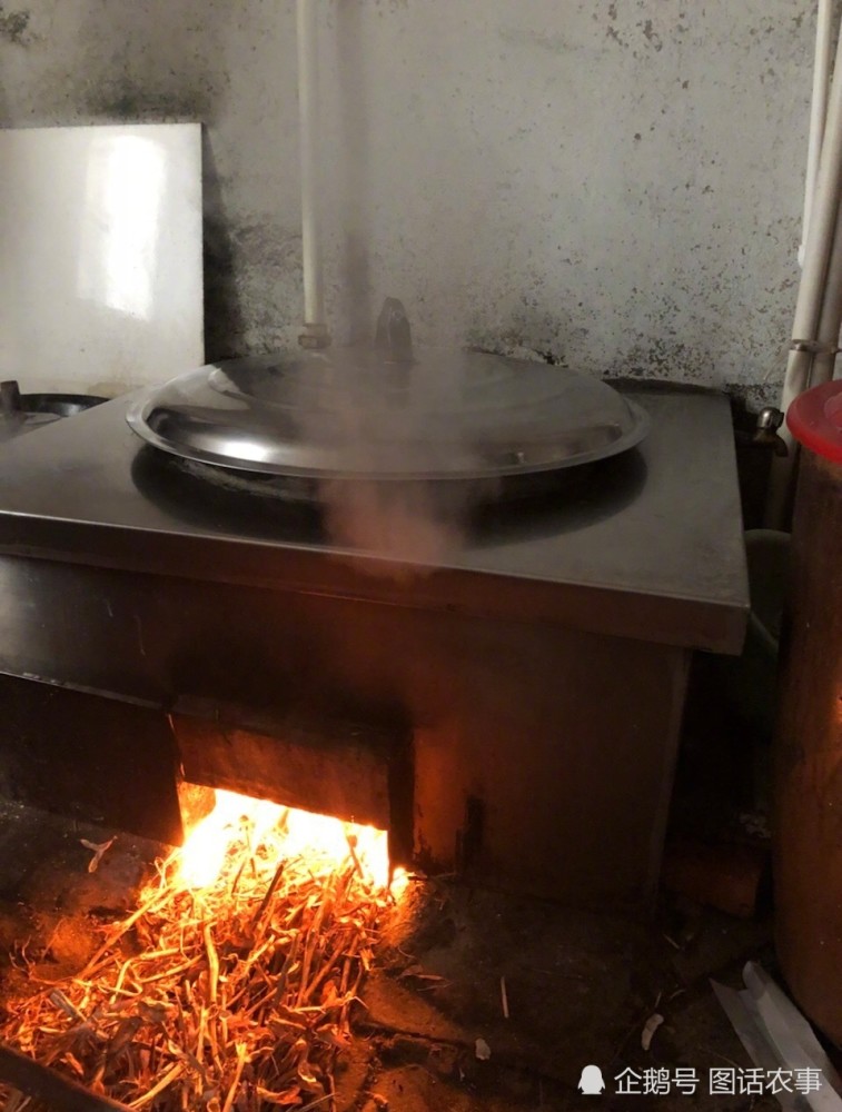 用柴火烧饭,这在很多地方都不常见了,这种烧出来的饭格外香,这是小