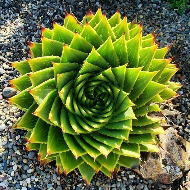 创业小项目推荐:大学生创业做什么好,马云教你