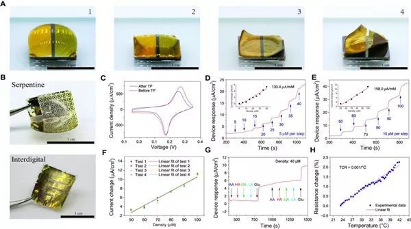 清华大学冯雪团队Sci.Adv.:类皮肤柔性电子器件