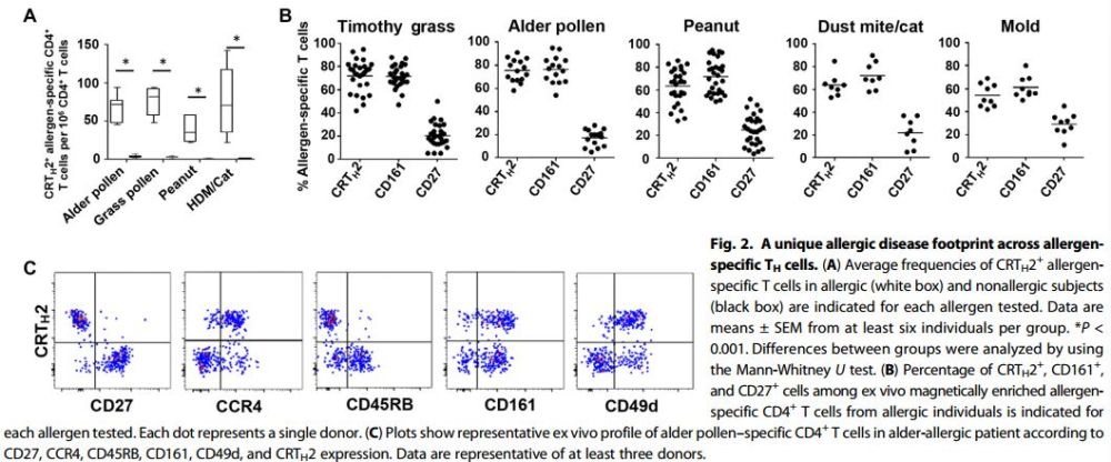与过敏性疾病相关的Th2细胞亚群
