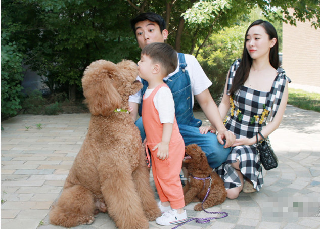 嗯哼出席活动说的这句话竟暴露了霍思燕教育