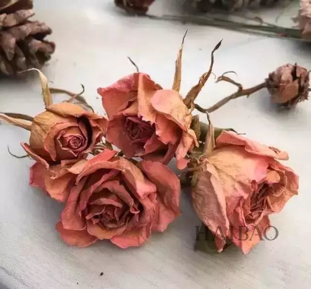 2017年最热门的10种唇色,你都集齐了吗?