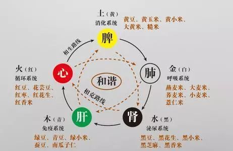 命中五行缺金,就意味着要穷一辈子吗?