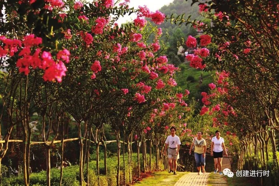 鲁山创卫杯征文推送稿件-大美鲁山