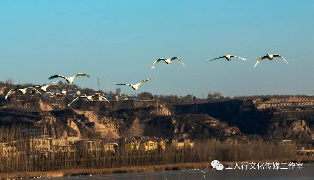 这是一个让人难以忘怀和割舍的冬季