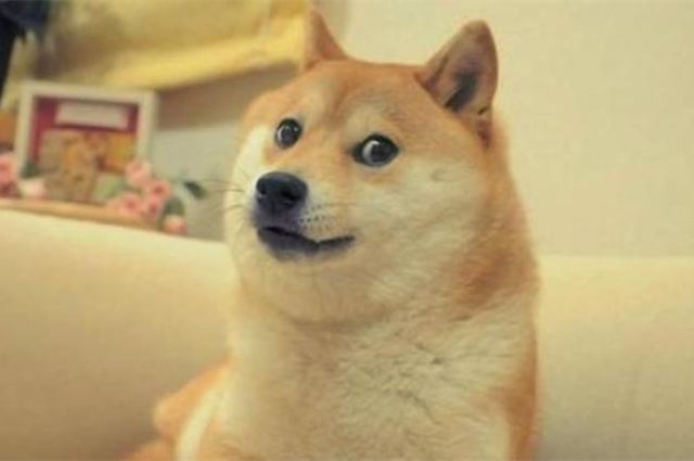 95��ҵ�ߣ�һȺ�������ꡱ�ٵ���95���������ꡱ