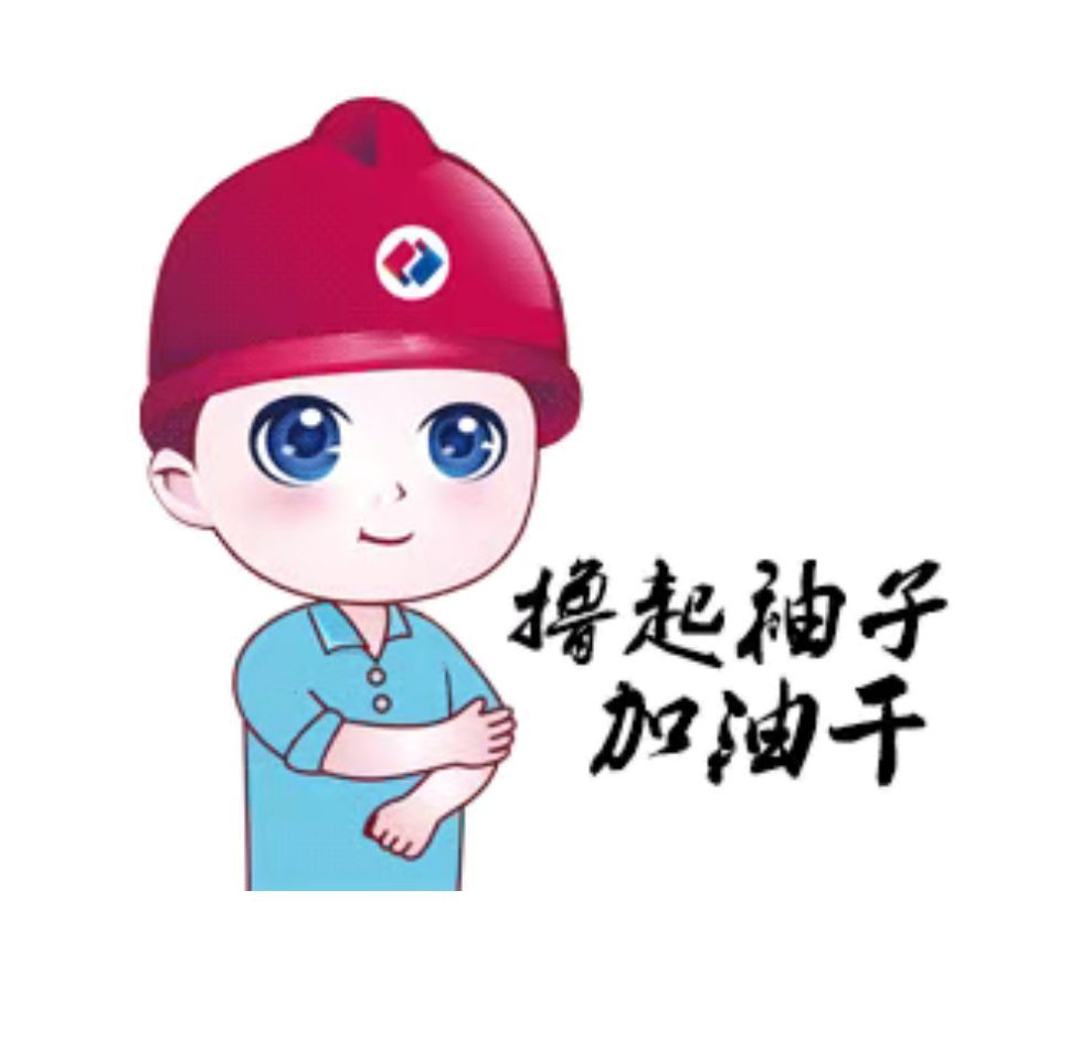 汕头市潮南区生活垃圾焚烧发电厂1号锅炉成功
