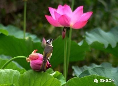 2017岁末遐想:一年又一年,《一晃就老了》,惟愿