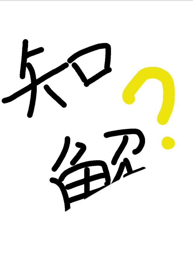 看图猜成语:放假啦放假啦,终于可以大显身手了