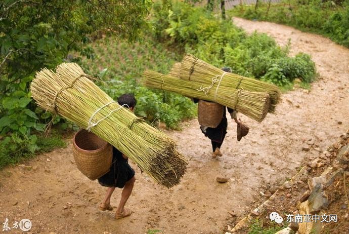 越南农村留守老人真实生活,年轻姑娘很多被远