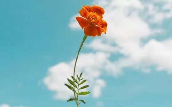 快手说说个性短语,微信朋友圈个性句子