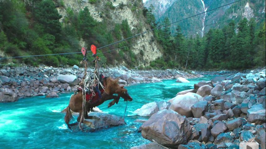 极地:这个纪录片讲述的，是个不一样的高原啊