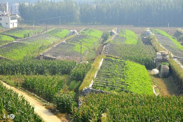 实施乡村振兴战略 农村将会发生哪些重大变化