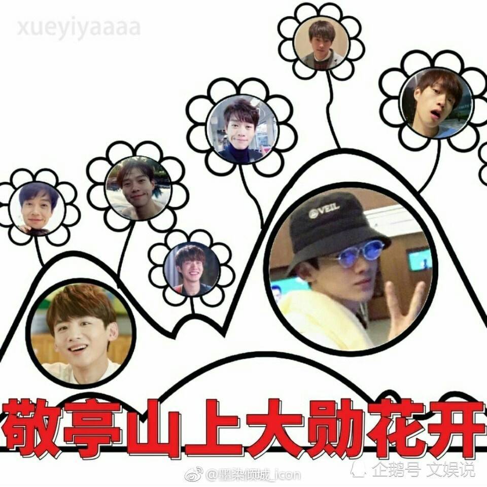 敬亭山上大勋花开:不高兴白敬亭和没头脑魏