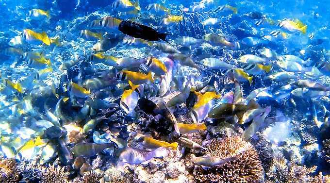 那些消费不高、不用签证的适合旅行的国家马来西亚