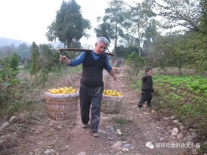 为南充中法农业科技园打call:厉害了,我的家乡