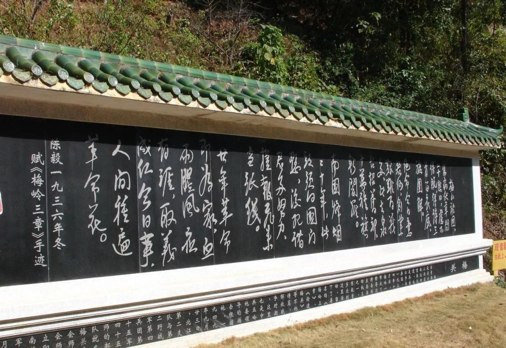 关于梅花的故事,也许你只差这趟旅行