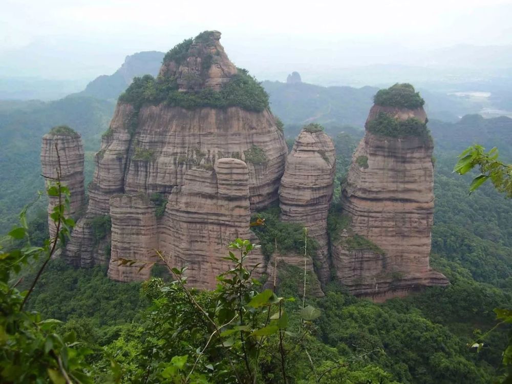关于梅花的故事,也许你只差这趟旅行