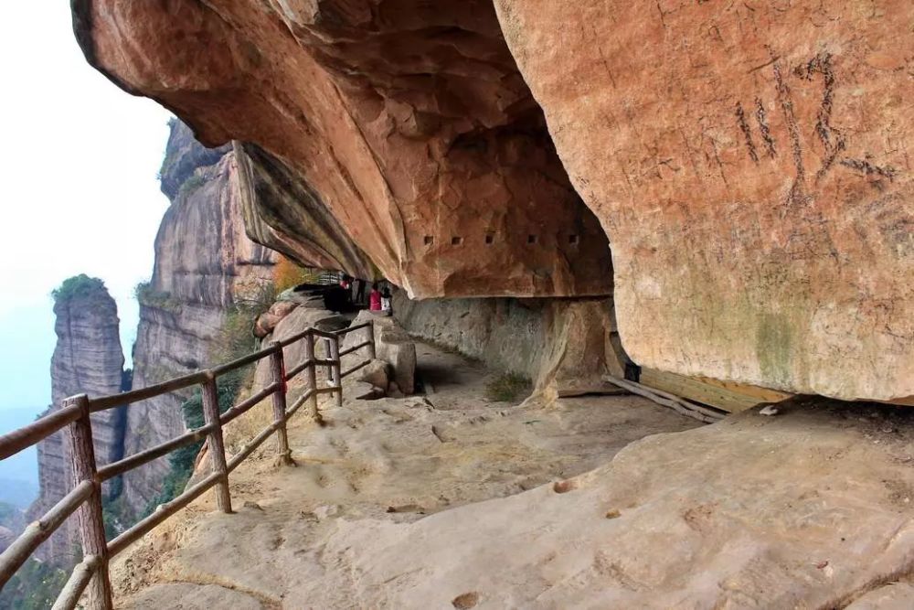 关于梅花的故事,也许你只差这趟旅行