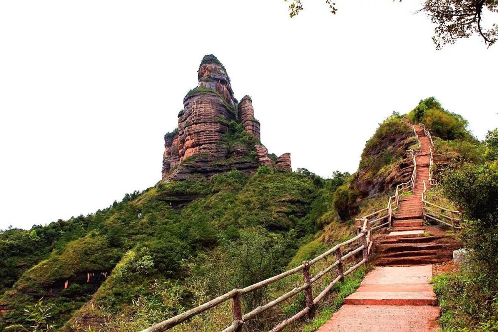 关于梅花的故事,也许你只差这趟旅行