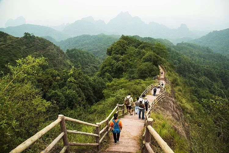 关于梅花的故事,也许你只差这趟旅行