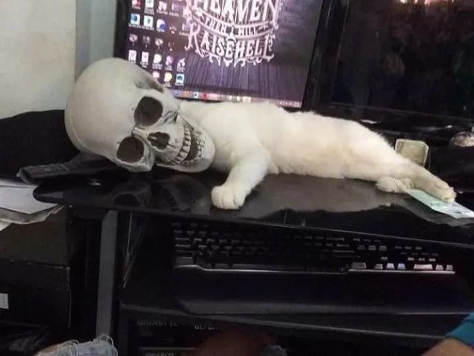 霸气女声翻唱《我们不一样》,MV亮了!