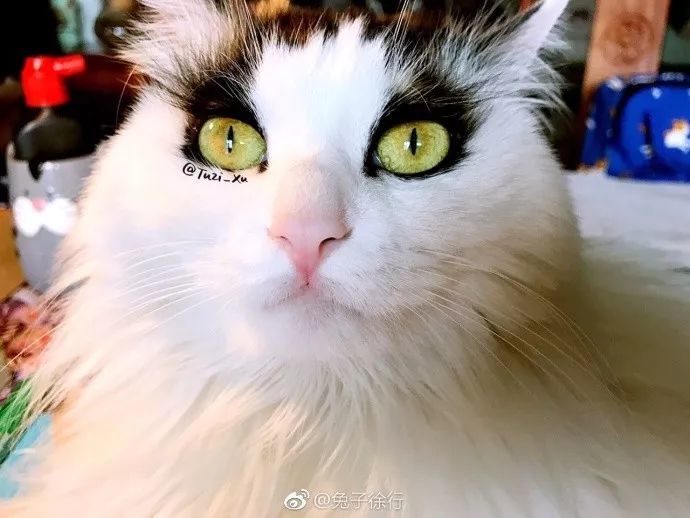 霸气女声翻唱《我们不一样》,MV亮了!