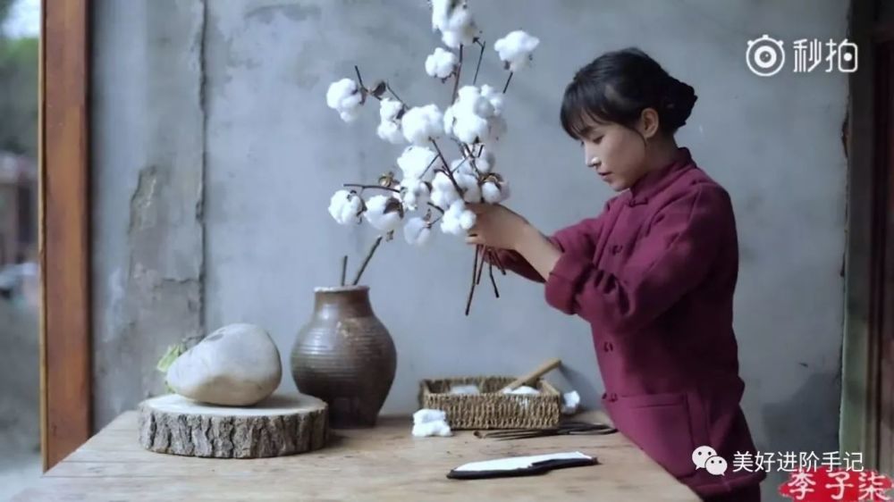 春酿酒夏拾花,秋煮茶冬烹雪,她活成了仙女的模