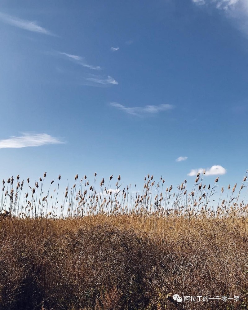 梦醒了,就听听现实的声音