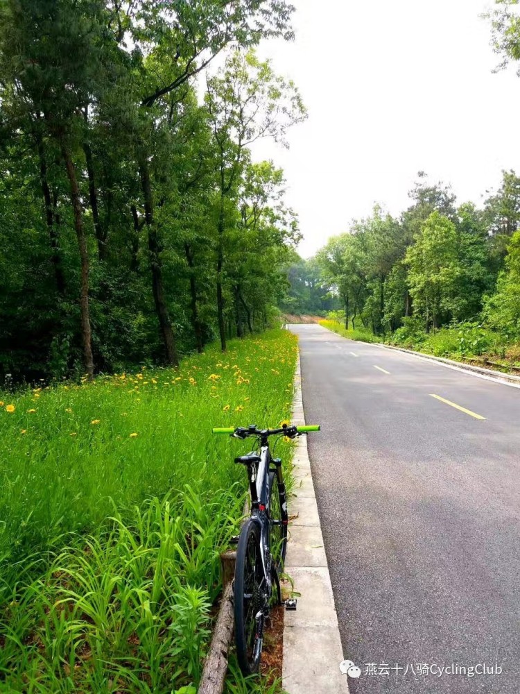 莫愁前路无知己,天下谁人不识君--我的2017运