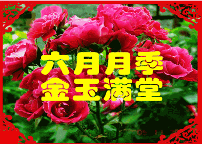 如期而至的不只是新年 还有幸福,开心和快乐 日益增长的不只是年龄