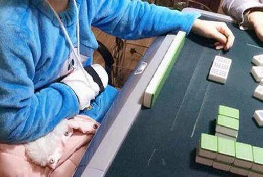 爆笑GIF:姑娘,你有点发烧