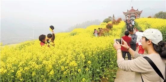十九大明确乡村振兴战略上升为国家战略,全国